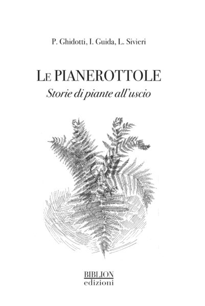 Cover_pianerottole_stampa copia