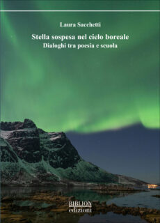 Stella sospesa nel cielo boreale